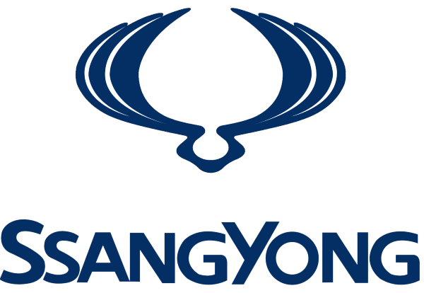 Ssangyong avec logo - Brun - Protecteur de coussin de siège de